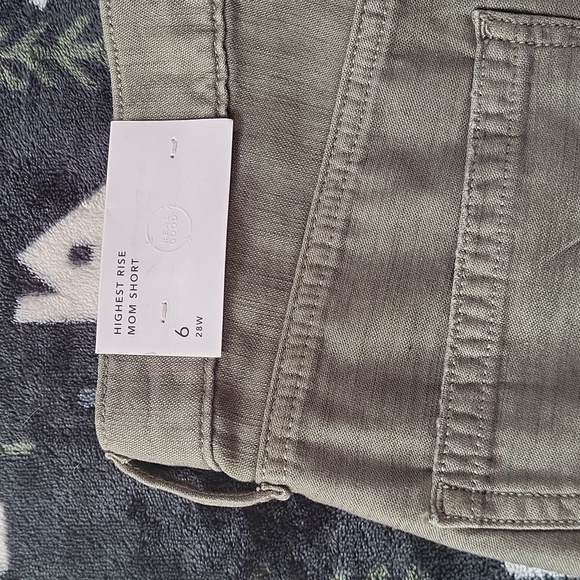 NWT American Eagle Shorts (Size 6) - Picture 4 of 5